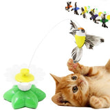 Interactieve Vogelspeelgoed voor Katten