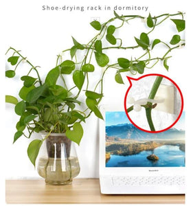 Planten Klimwand “DIY” 10 Stuks (Tijdelijk 50% Korting)