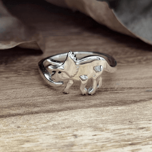Schattige Dinosaurus Ring