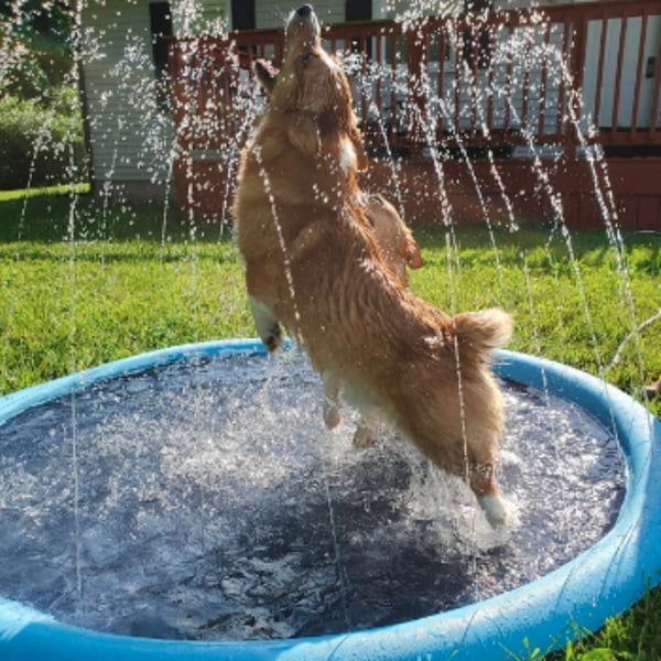Non-Slip Water Speelmat voor Kinderen en Honden "Spetterzone"