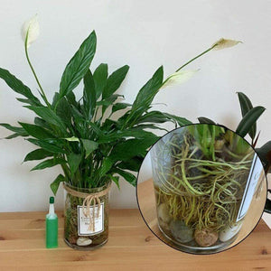 Vloeibare Kunstmest™ | Voor snelle groei en prachtige planten!