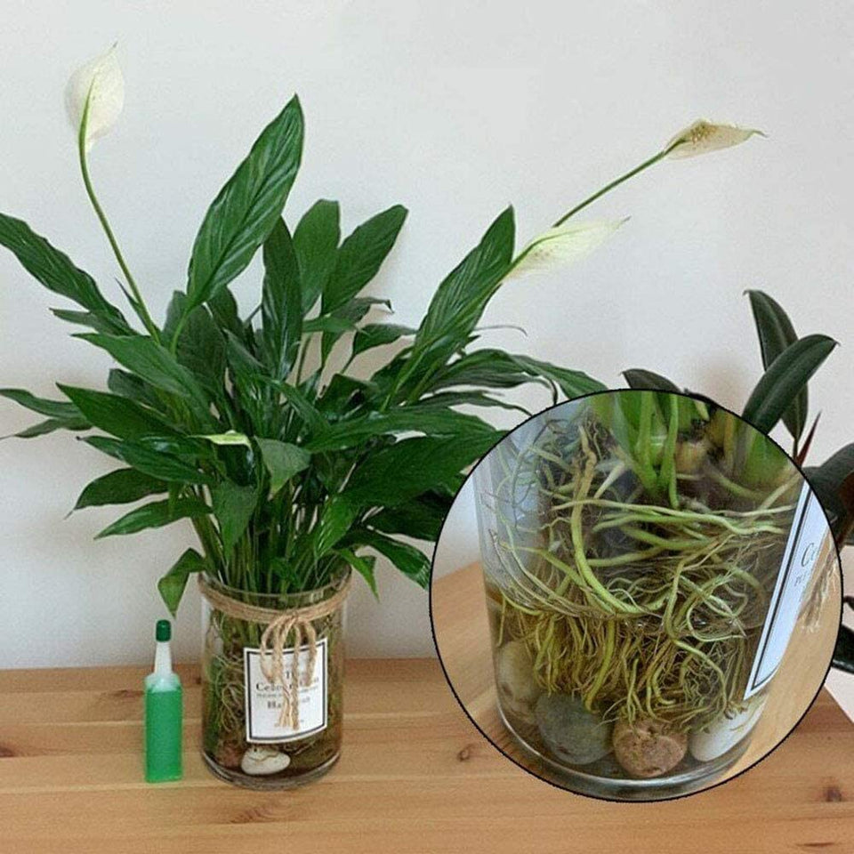 Vloeibare Kunstmest™ | Voor snelle groei en prachtige planten!