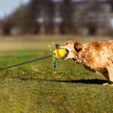 Outdoor Honden Speeltje