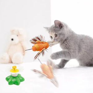 Interactieve Vogelspeelgoed voor Katten